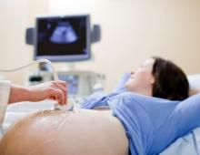 लिंग नियोजन गर्भावस्था के किस सप्ताह में लिंग बनता है