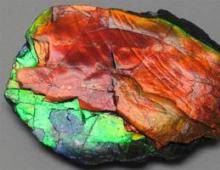 Ammolite - μια πέτρα ανάπτυξης σύμφωνα με τους νόμους του Σύμπαντος Οι ιδιότητες του Ammolite