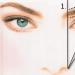 Hur man får vackra naturliga ögonbryn - specialisternas hemligheter Ögonbrynsformer och hur man gör dem