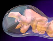 Изтичане на амниотична течност: как да поддържаме бременност?