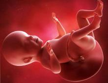 26 εβδομάδες εγκυμοσύνης: εμβρυϊκή ανάπτυξη και γυναικεία συναισθήματα